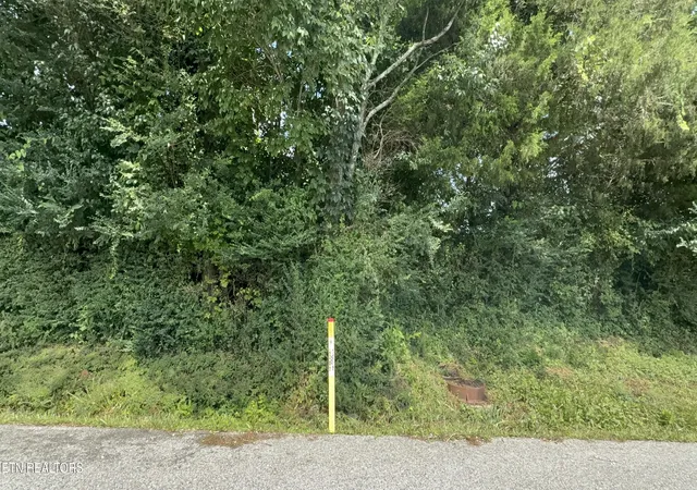 2nd image of Mountain Perkins Ln, Jacksboro, TN 37757 | MLS# 1352363