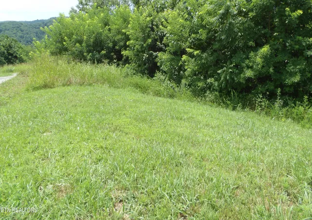 1st image of Lot 17d Crappie Lane, Hilham, TN 38568 | MLS# 1352350