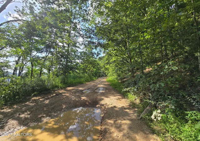 11th image of Stanley Creek, Oneida, TN 37841 | MLS# 1352552