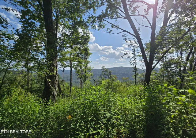 4th image of Stanley Creek, Oneida, TN 37841 | MLS# 1352552