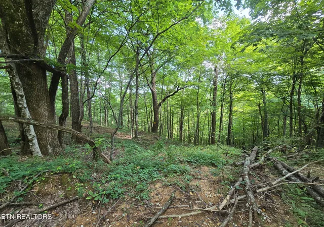 5th image of Stanley Creek, Oneida, TN 37841 | MLS# 1352552