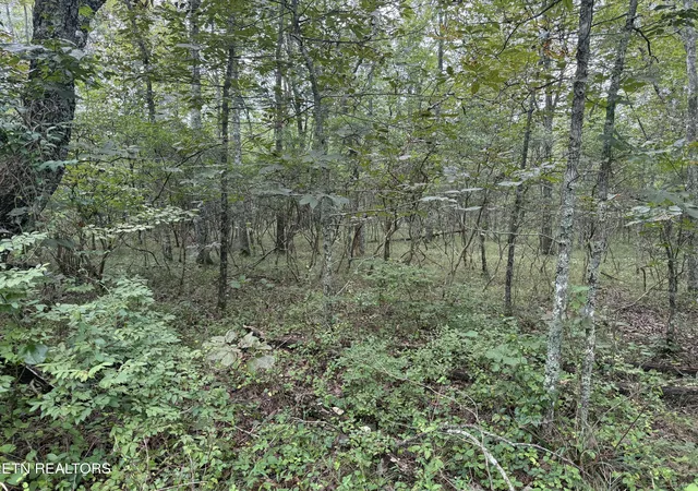 1st image of 130 Blackburn Dr, Crossville, TN 38558 | MLS# 1352359