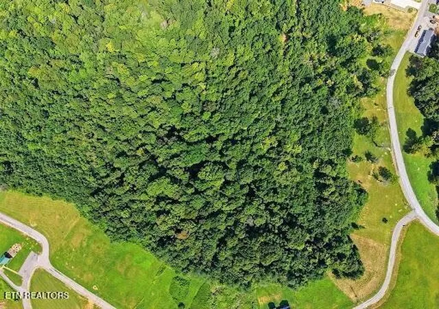 10th image of 0 Swan Ridge Rd, Hilham, TN 38568 | MLS# 1352367