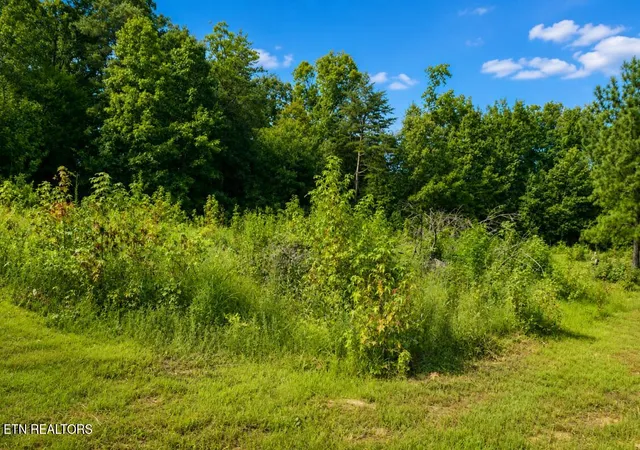 2nd image of 258 Buckner Rd, Philadelphia, TN 37846 | MLS# 1352564