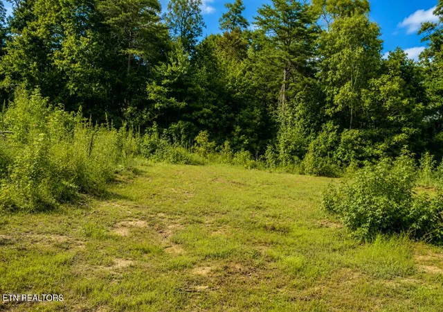 3rd image of 258 Buckner Rd, Philadelphia, TN 37846 | MLS# 1352564