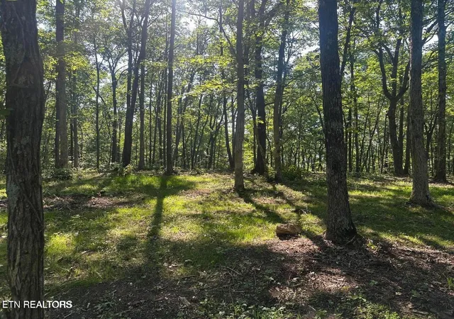 2nd image of Running Deer, Crab Orchard, TN 37723 | MLS# 1352410