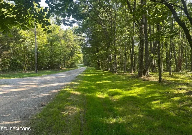3rd image of Running Deer, Crab Orchard, TN 37723 | MLS# 1352410