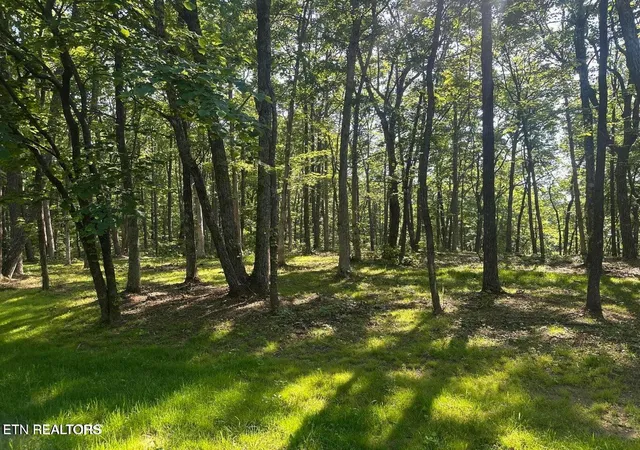 5th image of Running Deer, Crab Orchard, TN 37723 | MLS# 1352410