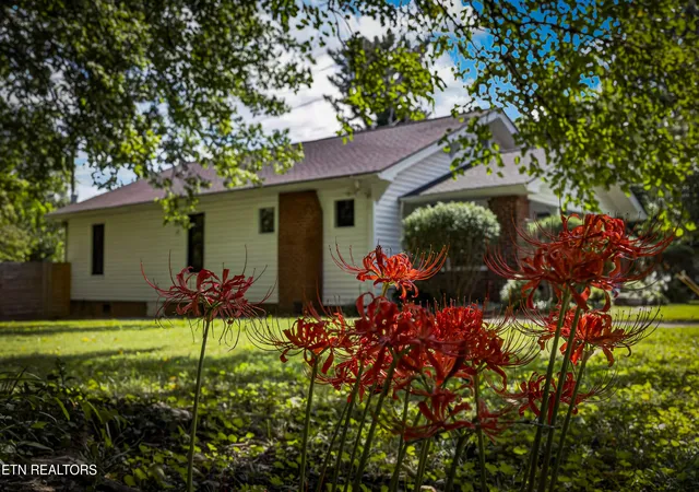 32nd image of 1932 Emoriland Blvd, Knoxville, TN 37917 | MLS# 1352530