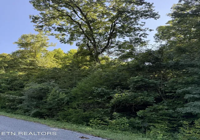 Photo 3 of Land for sale at Larayne Holw Rd, Sharps Chapel, TN 37866 | MLS# 1352557 | Listing updated on 2026-08-21