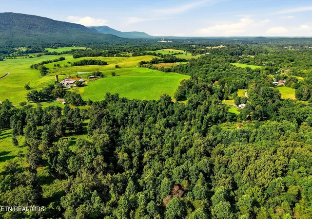 13th image of 0 County Road 882, Etowah, TN 37331 | MLS# 1352486