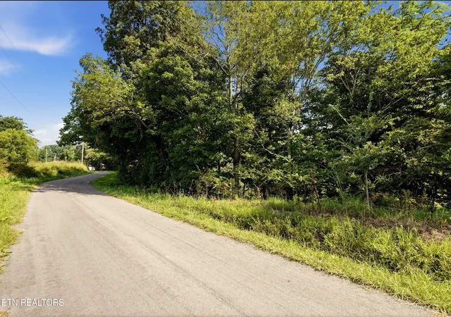 Photo 3 of Land for sale at 0 County Rd 882, Etowah, TN 37331 | MLS# 1352486 | Listing updated on 2026-08-20