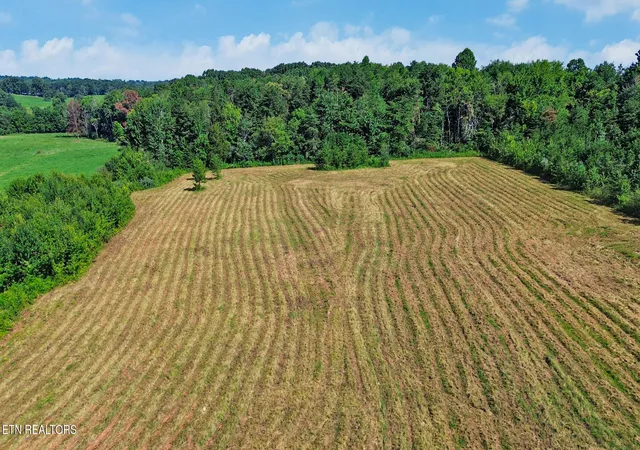 11th image of Frank Campbell Rd, Jamestown, TN 38556 | MLS# 1352485