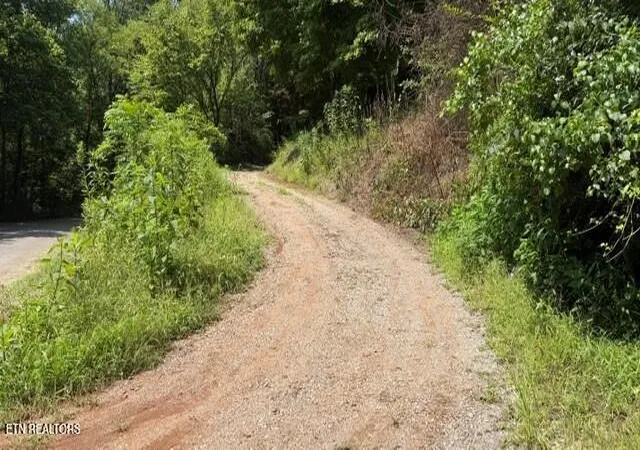 13th image of 937 Misty Valley Rd, Friendsville, TN 37737 | MLS# 1352503