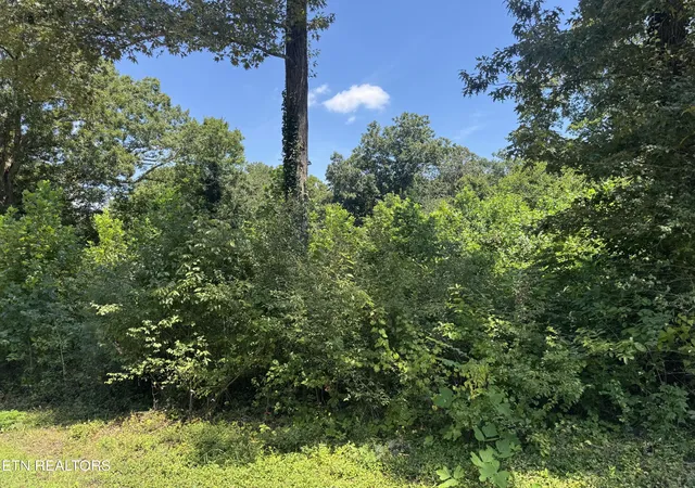 2nd image of 0 Brookhill Dr, Etowah, TN 37331 | MLS# 1352516