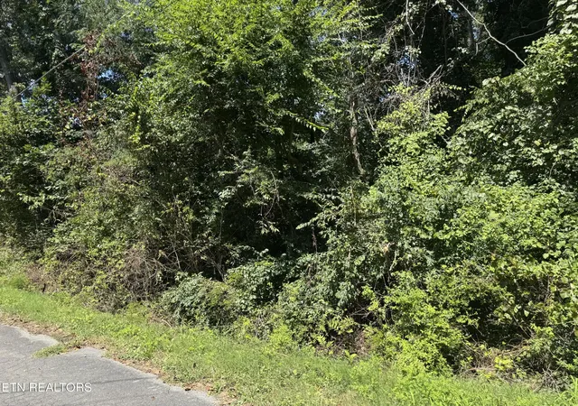 4th image of 0 Brookhill Dr, Etowah, TN 37331 | MLS# 1352516