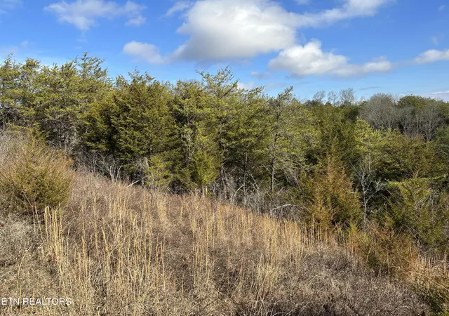 15th image of 000 Leatherwood Rd, Sevierville, TN 37876 | MLS# 1352531