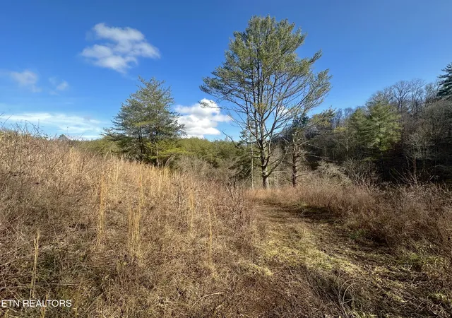 1st image of 000 Leatherwood Rd, Sevierville, TN 37876 | MLS# 1352531
