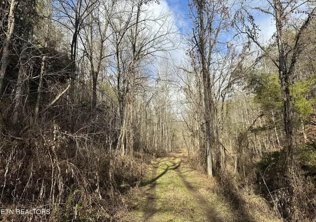 3rd image of 000 Leatherwood Rd, Sevierville, TN 37876 | MLS# 1352531