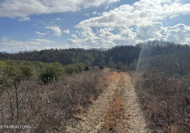 4th image of 000 Leatherwood Rd, Sevierville, TN 37876 | MLS# 1352531