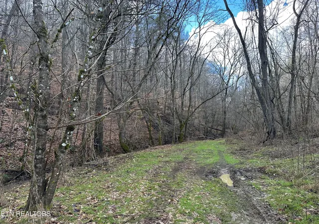 5th image of 000 Leatherwood Rd, Sevierville, TN 37876 | MLS# 1352531