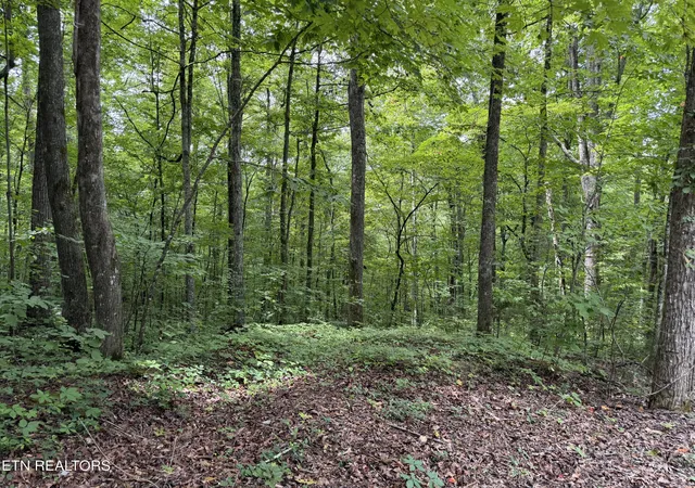 Photo 1 of Land for sale at Lot 36 Bass Hvn Dr, Sharps Chapel, TN 37866 | MLS# 1352560 | Listing updated on 2026-09-29