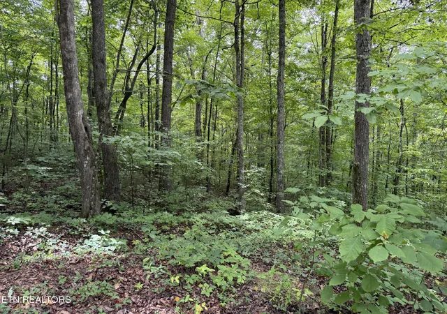Photo 2 of Land for sale at Lot 36 Bass Hvn Dr, Sharps Chapel, TN 37866 | MLS# 1352560 | Listing updated on 2026-09-29