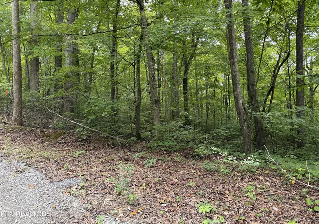 Photo 3 of Land for sale at Lot 36 Bass Hvn Dr, Sharps Chapel, TN 37866 | MLS# 1352560 | Listing updated on 2026-09-29