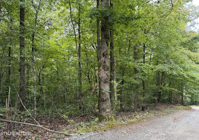 Photo 3 of Land for sale at Lot 36 Bass Hvn Dr, Sharps Chapel, TN 37866 | MLS# 1352560 | Listing updated on 2026-09-29