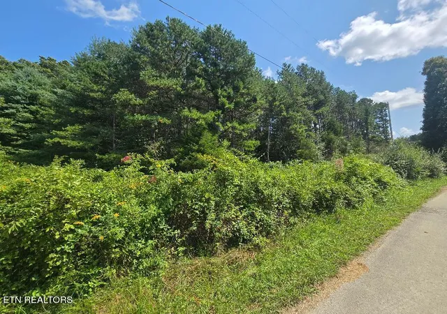Photo 3 of Land for sale at Black Creek Rd, Oneida, TN 37841 | MLS# 1353711 | Listing updated on 2026-08-30