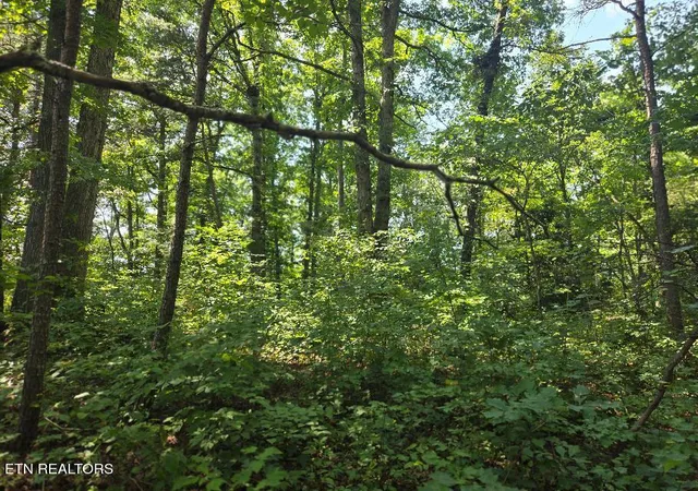 Photo 4 of Land for sale at Black Creek Rd, Oneida, TN 37841 | MLS# 1353711 | Listing updated on 2026-08-30