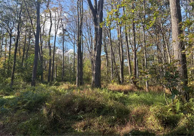 Land for sale at 0000 County Line Rd, Middlecreek Twp, PA 15622 | MLS# 1722990