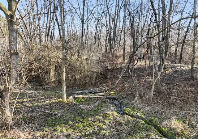 Photo 4 of Land for sale at 0 Williams St, Washington, PA 15301 | MLS# 1740097 | Listing updated on 2026-08-29