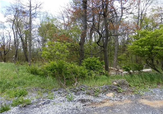 Photo 3 of Land for sale at Lot 79 Hawks Nest Rd, Central City, PA 15926 | MLS# 1753217 | Listing updated on 2026-08-28