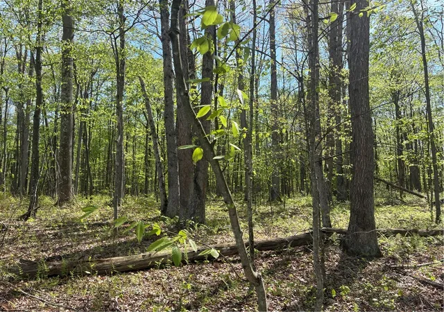 Photo 3 of Land for sale at Lot 3 & 4 Killarney Rd, Springfield Twp, PA 15464 | MLS# 1753354 | Listing updated on 2026-08-17