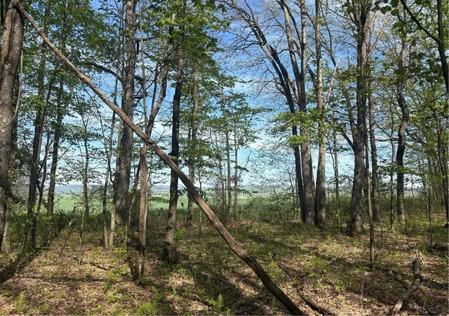 Photo 4 of Land for sale at Lot 3 & 4 Killarney Rd, Springfield Twp, PA 15464 | MLS# 1753354 | Listing updated on 2026-08-17