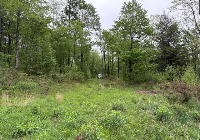 Photo 2 of Land for sale at Lot 4 Cranberry Rd, Lower Turkeyfoot Twp, PA 15424 | MLS# 1753565 | Listing updated on 2026-08-17