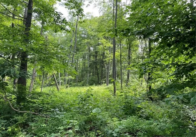 Photo 3 of Land for sale at Lot 4 Cranberry Rd, Lower Turkeyfoot Twp, PA 15424 | MLS# 1753565 | Listing updated on 2026-08-17