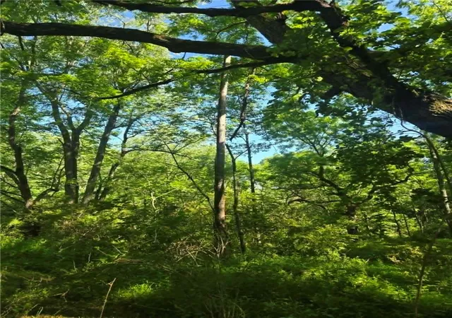 Photo 4 of Land for sale at 00 Hickory Rd, Fairview Twp, PA 16050 | MLS# 1758719 | Listing updated on 2026-08-26