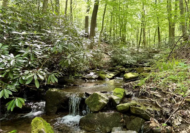Land for sale at Lot 1c Cottonwood Rd, Bullskin Twp, PA 15610 | MLS# 1759646