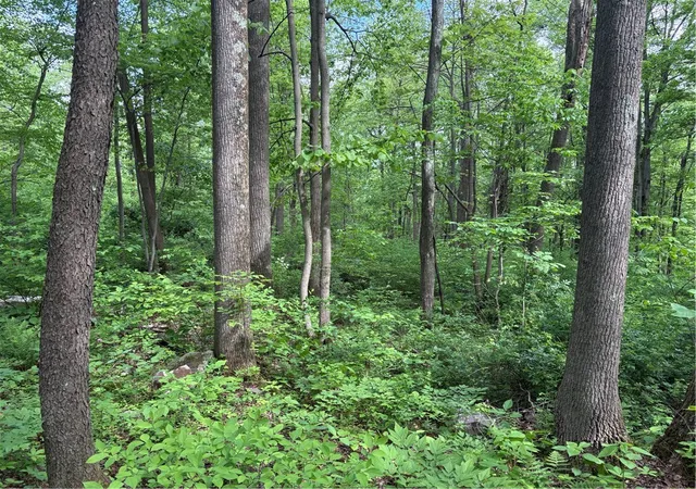 Photo 2 of Land for sale at Lot 1c Cottonwood Rd, Bullskin Twp, PA 15610 | MLS# 1759646 | Listing updated on 2026-08-17