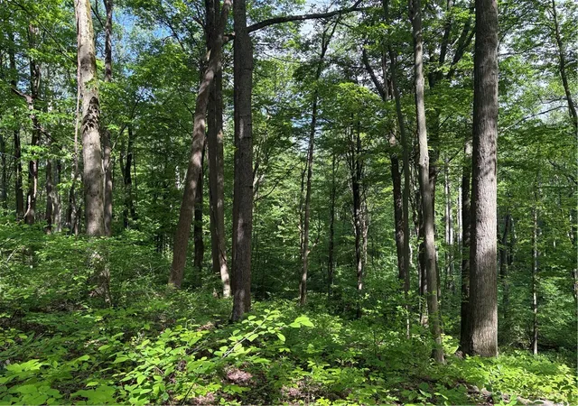 Photo 3 of Land for sale at Lot 1c Cottonwood Rd, Bullskin Twp, PA 15610 | MLS# 1759646 | Listing updated on 2026-08-17