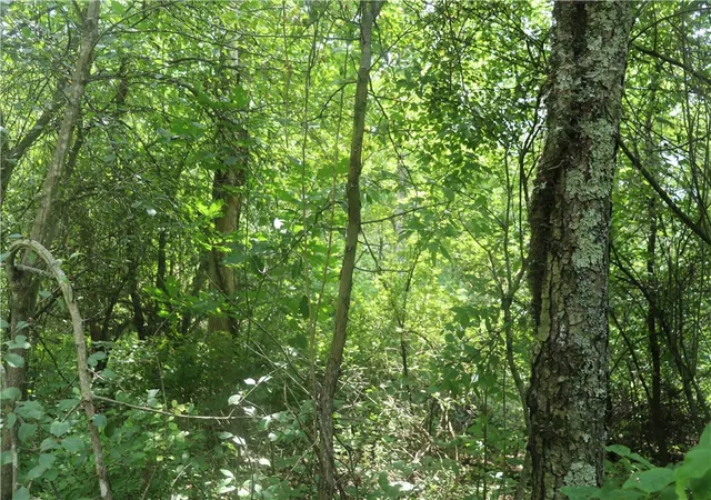 Photo 3 of Sale Pending at 01 Old Distillery Rd, Stahlstown, PA 15687 | MLS# 1761790 | Listing updated on 2026-08-22
