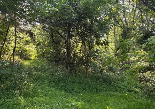 Photo 3 of Land for sale at 244 Swink Hl Rd, Bullskin Twp, PA 15425 | MLS# 1763088 | Listing updated on 2026-08-17