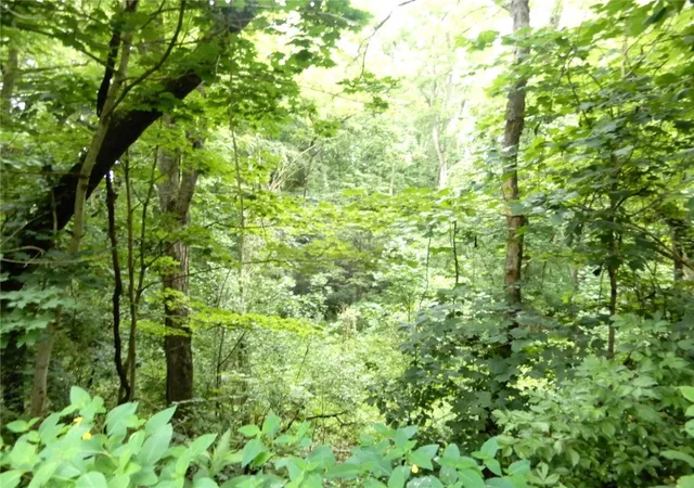 Photo 3 of Land for sale at Lot 1 Canterbury Ln, Peters Twp, PA 15317 | MLS# 1764773 | Listing updated on 2026-08-11