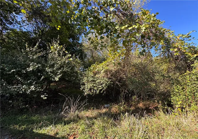 Photo 2 of Land for sale at 0 Water St, Brownsville, PA 15417 | MLS# 1765131 | Listing updated on 2026-08-14
