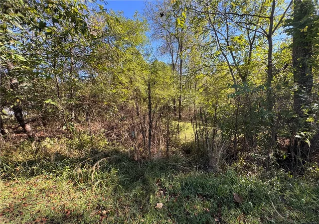 Photo 3 of Land for sale at 0 Water St, Brownsville, PA 15417 | MLS# 1765131 | Listing updated on 2026-08-14
