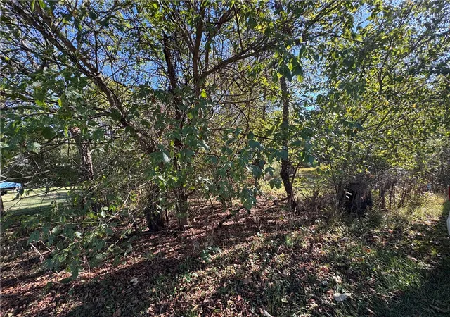 Photo 4 of Land for sale at 0 Water St, Brownsville, PA 15417 | MLS# 1765131 | Listing updated on 2026-08-14