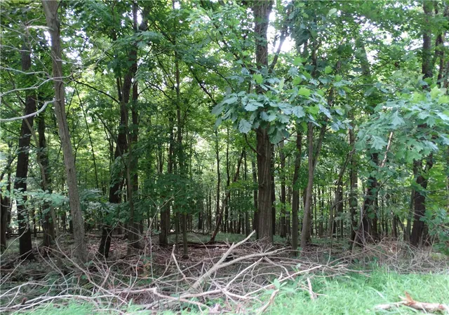 Photo 1 of Land for sale at 00 & 02 Moscow Rd, Amwell, PA 15311 | MLS# 1768825 | Listing updated on 2026-08-10