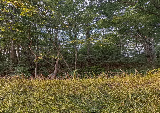 Photo 3 of Land for sale at 000 National Pike, Henry Clay Twp, PA 15459 | MLS# 1769152 | Listing updated on 2026-08-11